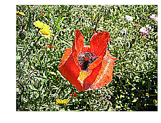 ../../../_images/filter_sharpen.png